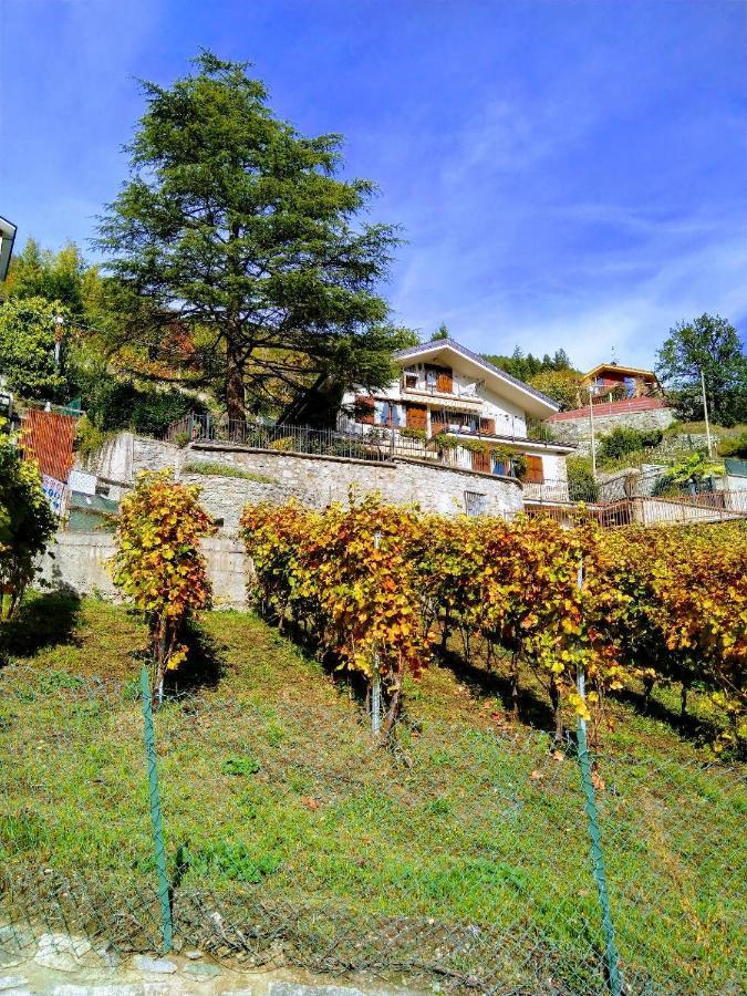 Appartamenti Bioula Cir Aosta N 0247 Exterior foto